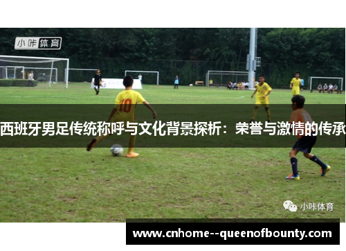 西班牙男足传统称呼与文化背景探析:荣誉与激情的传承 西班牙男足传统称呼与文化背景探析:荣誉与激情的传承