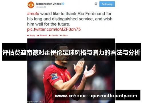评估费迪南德对霍伊伦足球风格与潜力的看法与分析