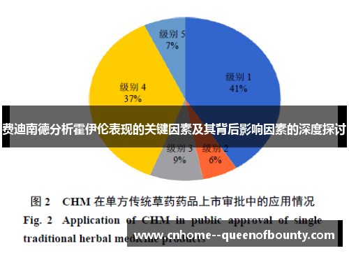 费迪南德分析霍伊伦表现的关键因素及其背后影响因素的深度探讨 费迪南德分析霍伊伦表现的关键因素及其背后影响因素的深度探讨