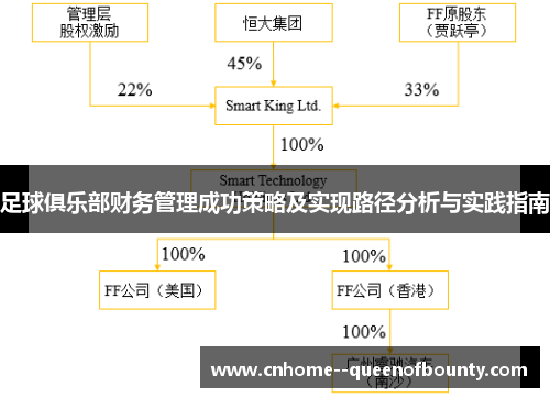 足球俱乐部财务管理成功策略及实现路径分析与实践指南 足球俱乐部财务管理成功策略及实现路径分析与实践指南