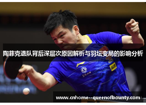 陶菲克退队背后深层次原因解析与羽坛变局的影响分析