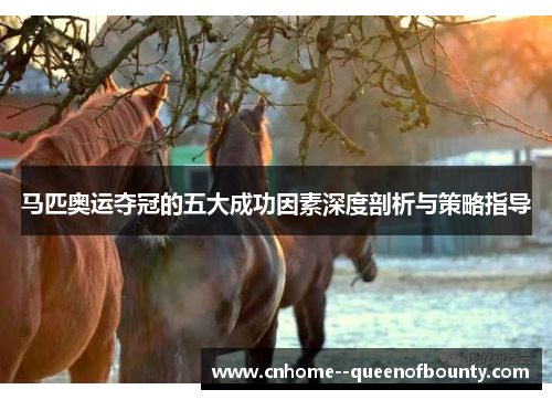 马匹奥运夺冠的五大成功因素深度剖析与策略指导